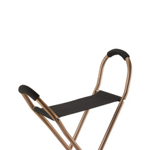 Load image into Gallery viewer, Folding Lightweight Cane with Sling Style Seat
